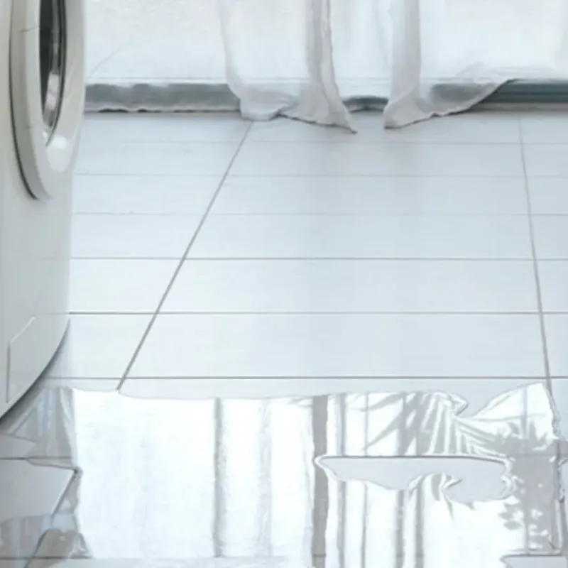 Appliance Leak Cleanup in Grosse Ile, MI