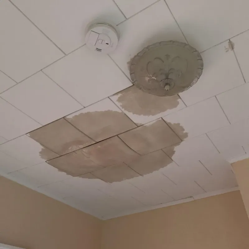 Ceiling Water Damage Repair in Grosse Ile, MI
