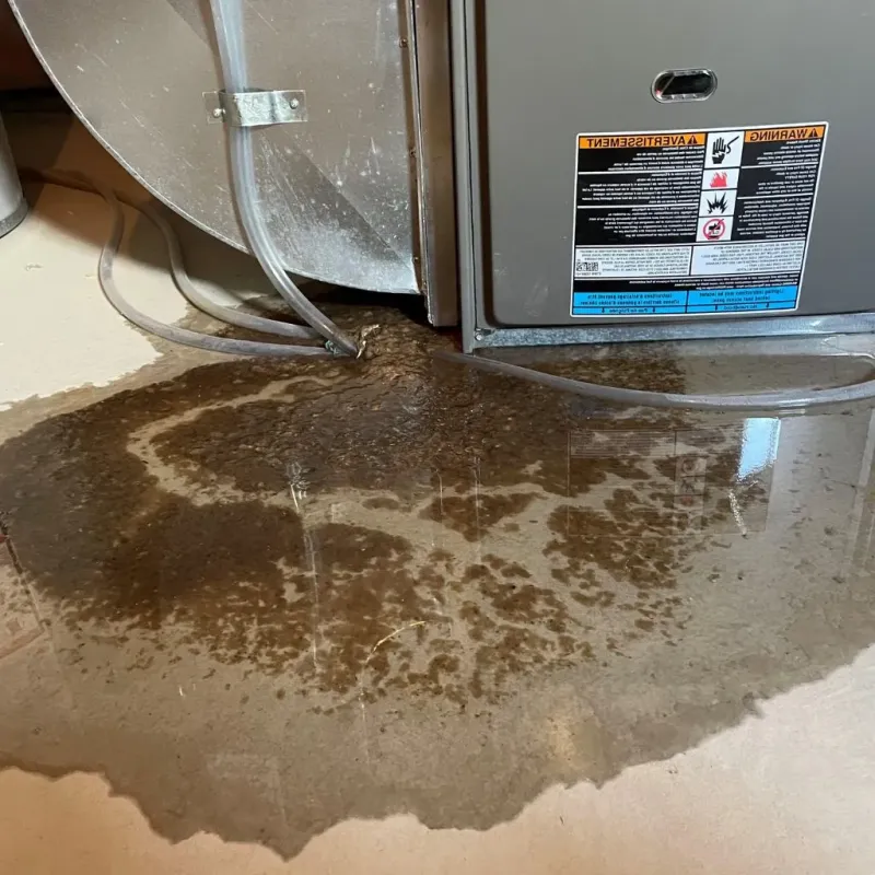 Pipe Burst and Leak Restoration in Grosse Ile, MI